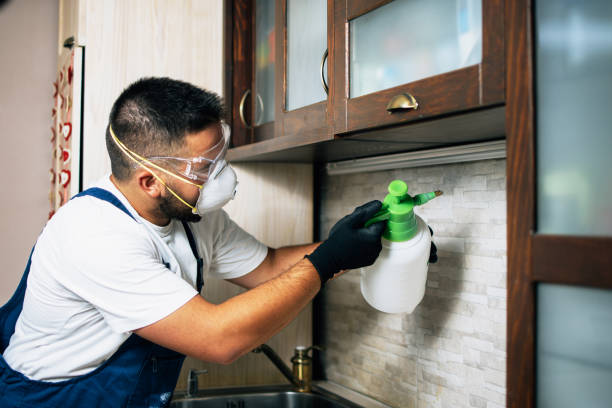 Best Pest Prevention Services  in Riviera Beach, FL