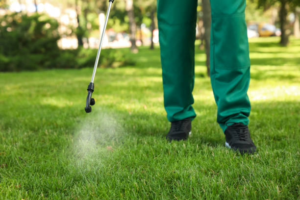 Best Residential Pest Control  in Riviera Beach, FL
