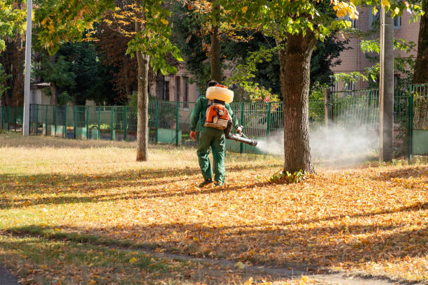 Reliable Riviera Beach, FL Pest Control Solutions