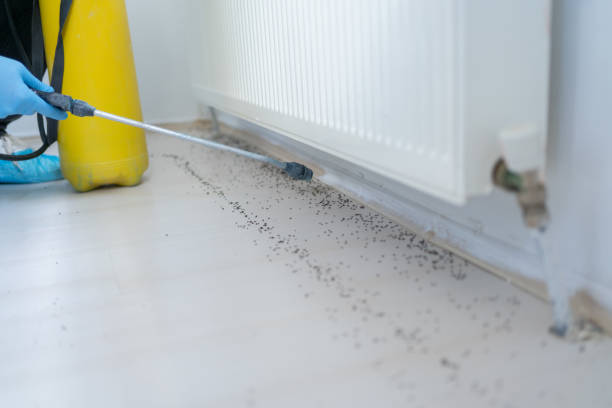 Best Wildlife Control Services  in Riviera Beach, FL