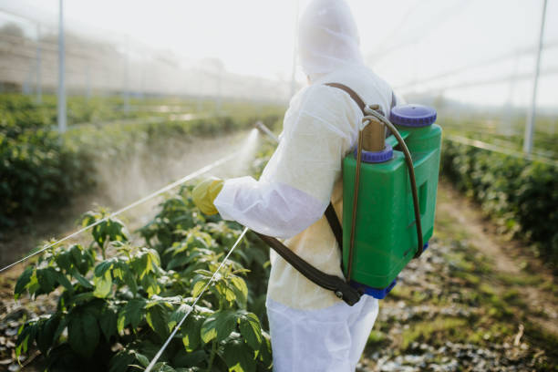Best Pest Control Near Me  in Riviera Beach, FL